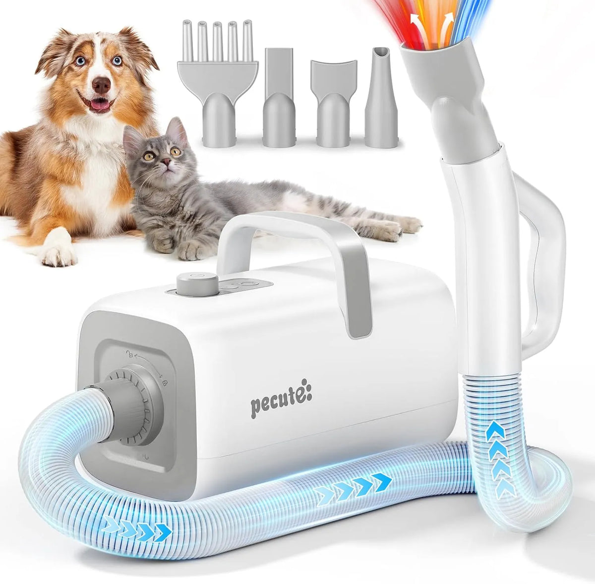 Soffiatore per Cani a Velocità, pecute Asciugatore per Cani Blower Molto